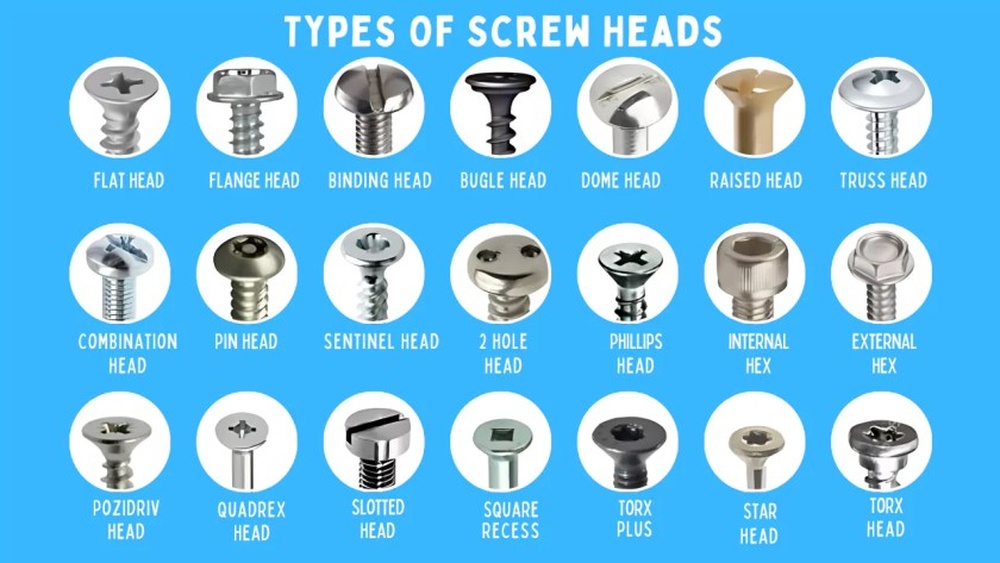 A Type of Fastener With a Bugle-Shaped Head is a