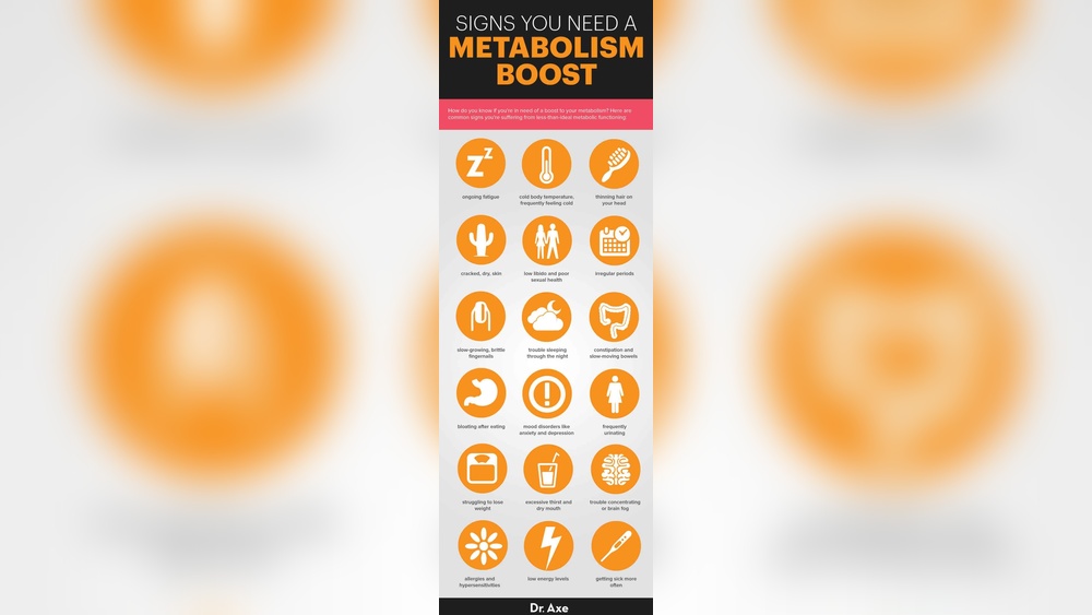 What Fastens Your Metabolism