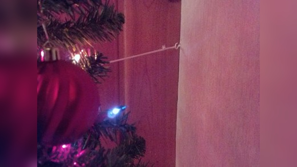 How to Anchor a Tree to the Wall