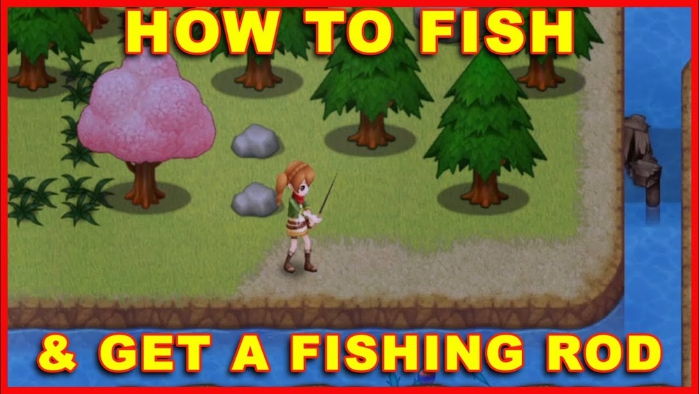 How to Fish in Harvest Moon Light of Hope Switch