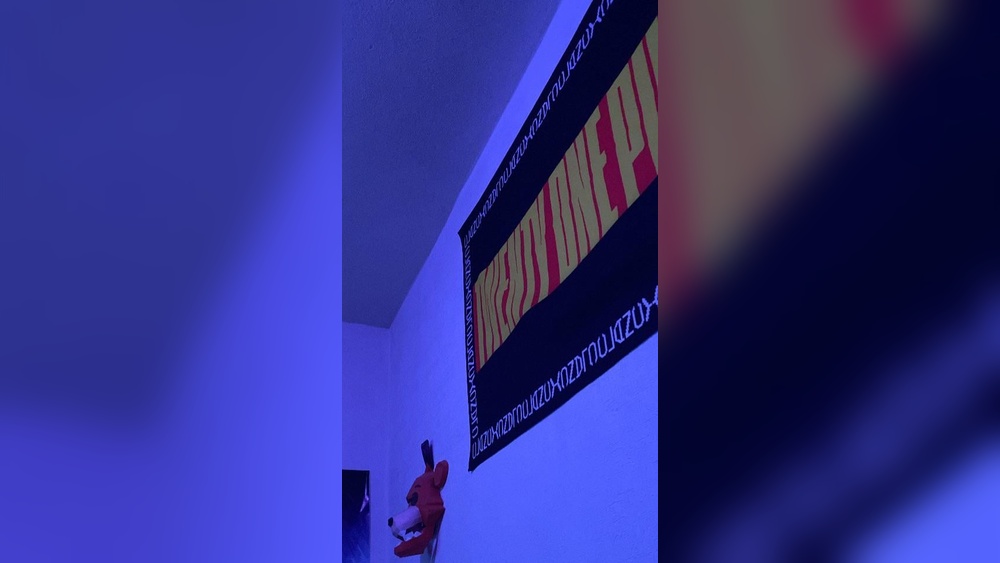 How to Hang a Flag on a Wall Command Hooks