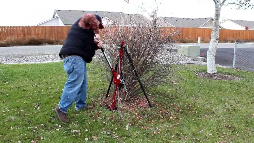 How to Pull Up Shrubs With a Floor Jack