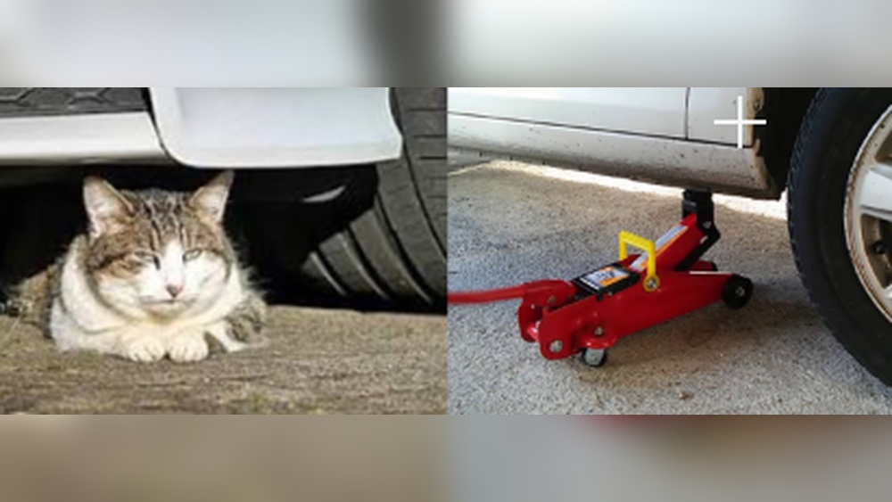How to Say Floor Jack in Spanish